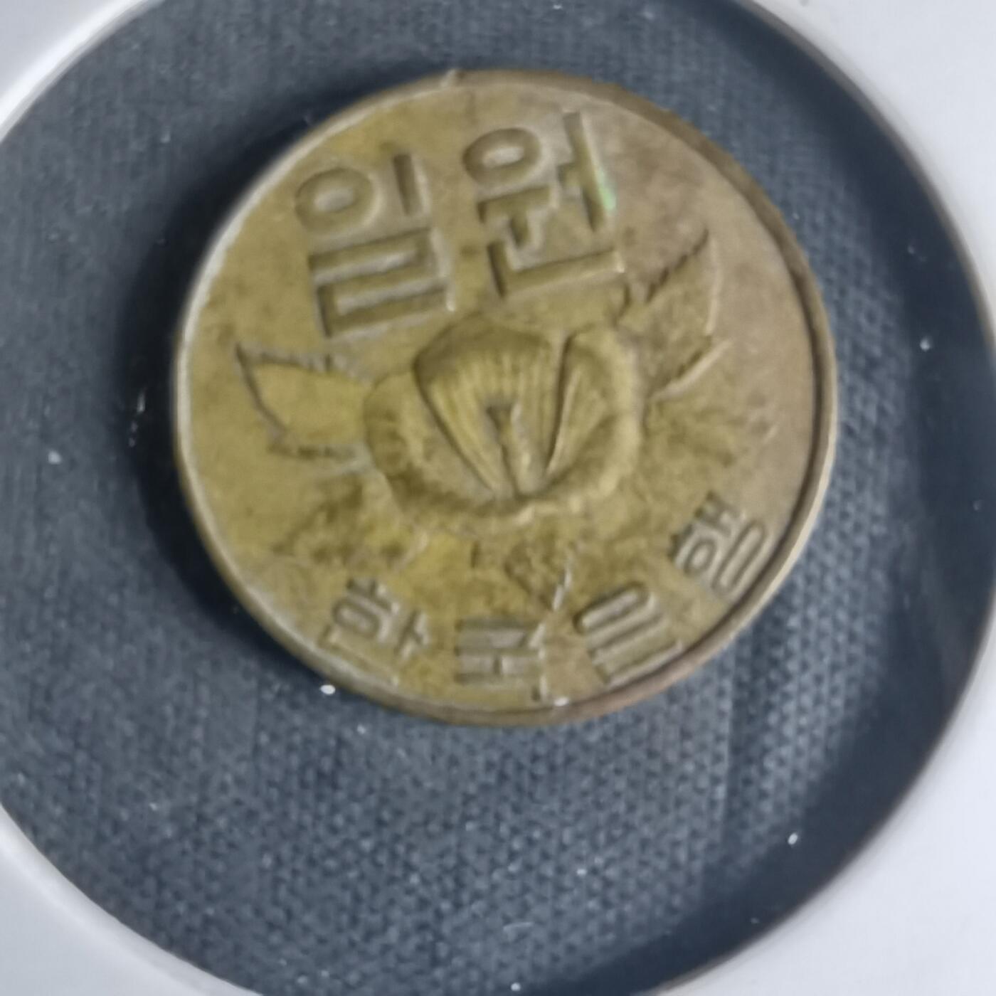 沼泽如烟--第1013场