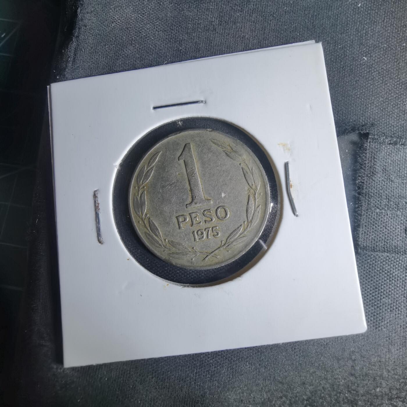 沼泽如烟--第1013场