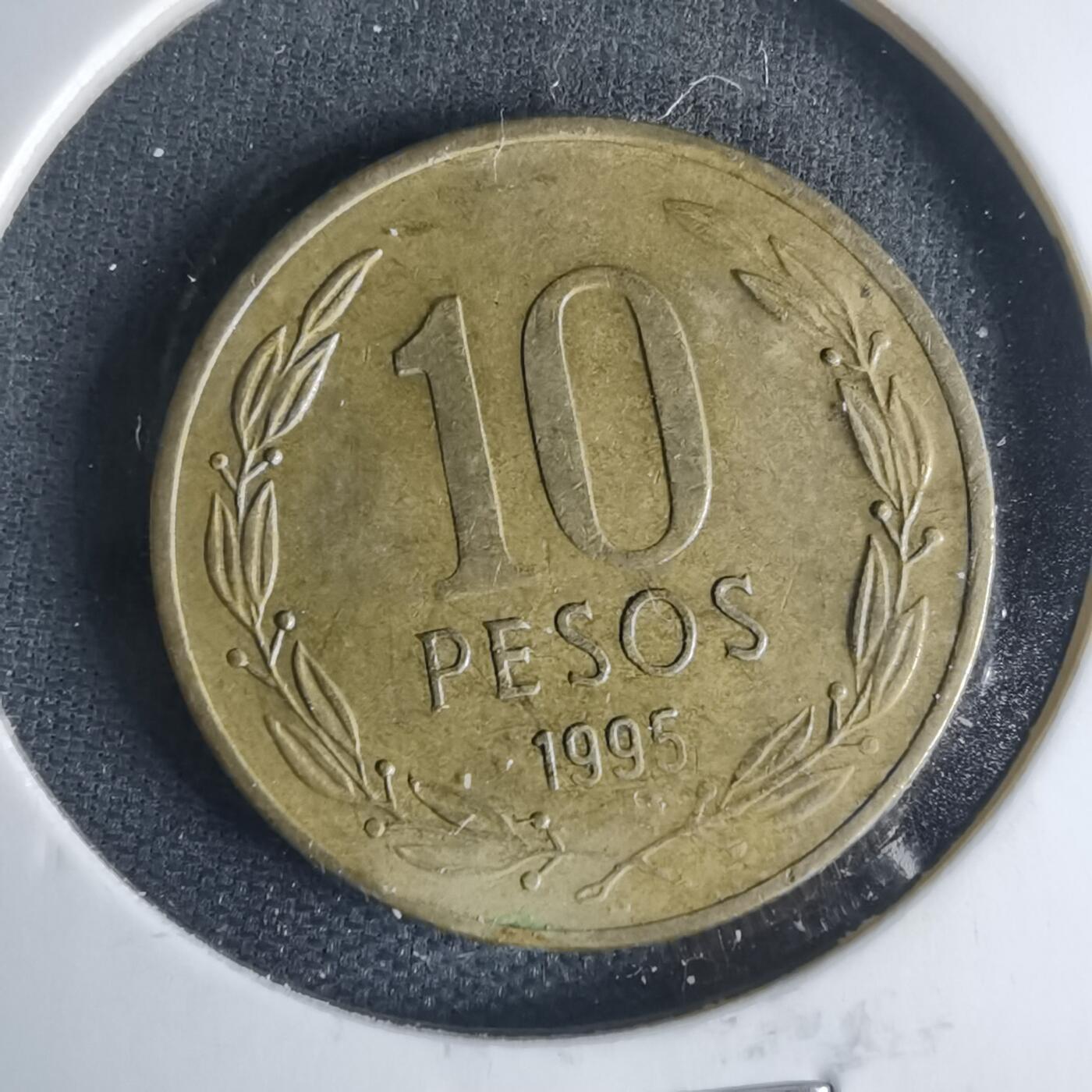 沼泽如烟--第1013场