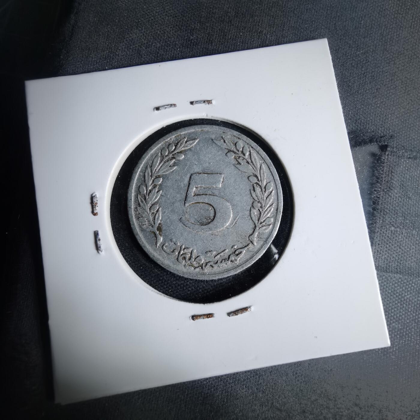 沼泽如烟--第1013场