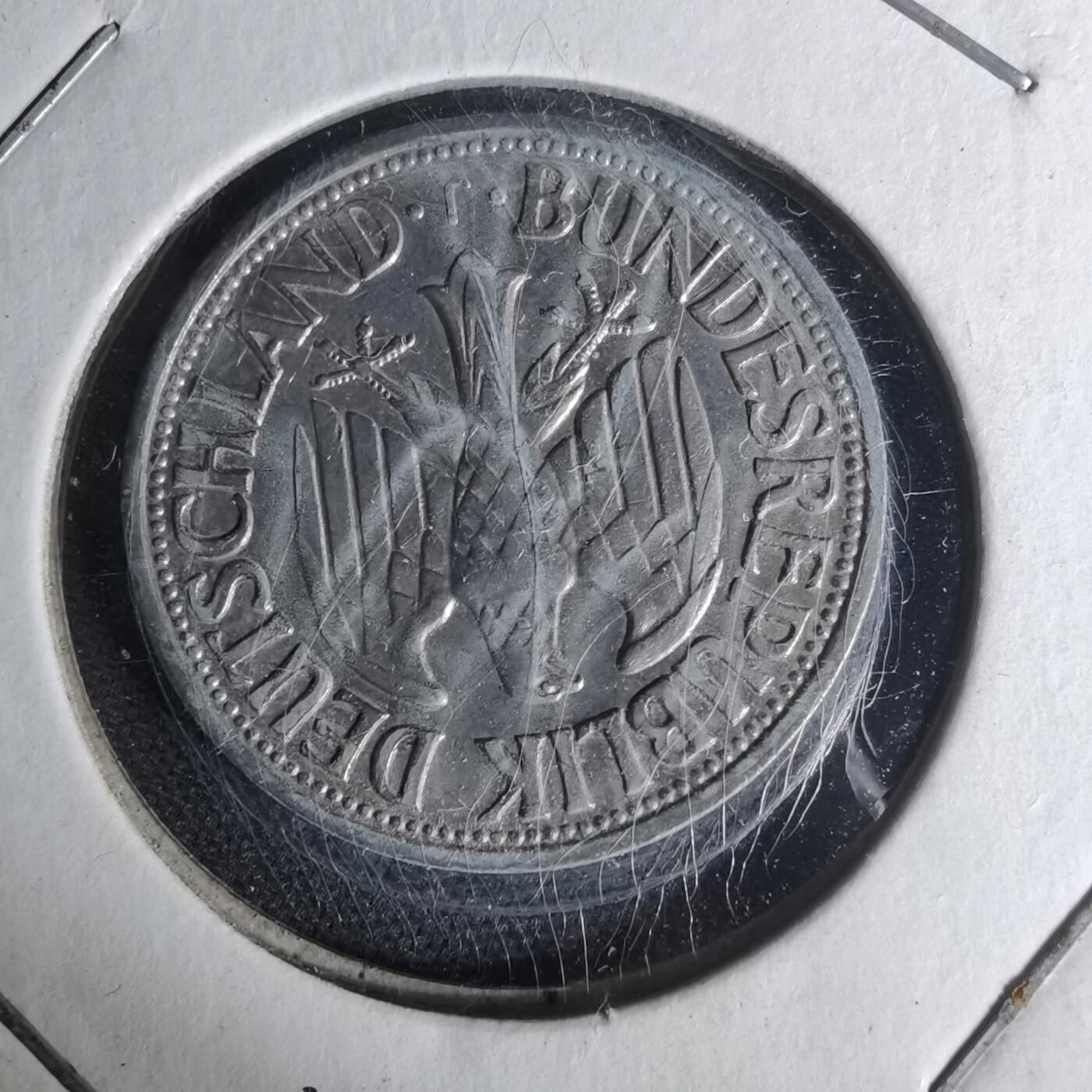 沼泽如烟--第1012场