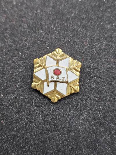 0元起拍勋章 第337期 咸鱼国勋章拍卖专场 3月8日（周日）下午6：00开始 - 日本徽章