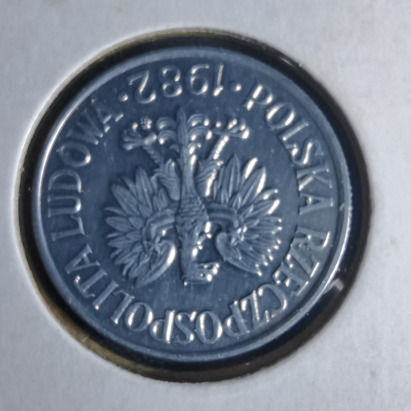 沼泽如烟--第1013场