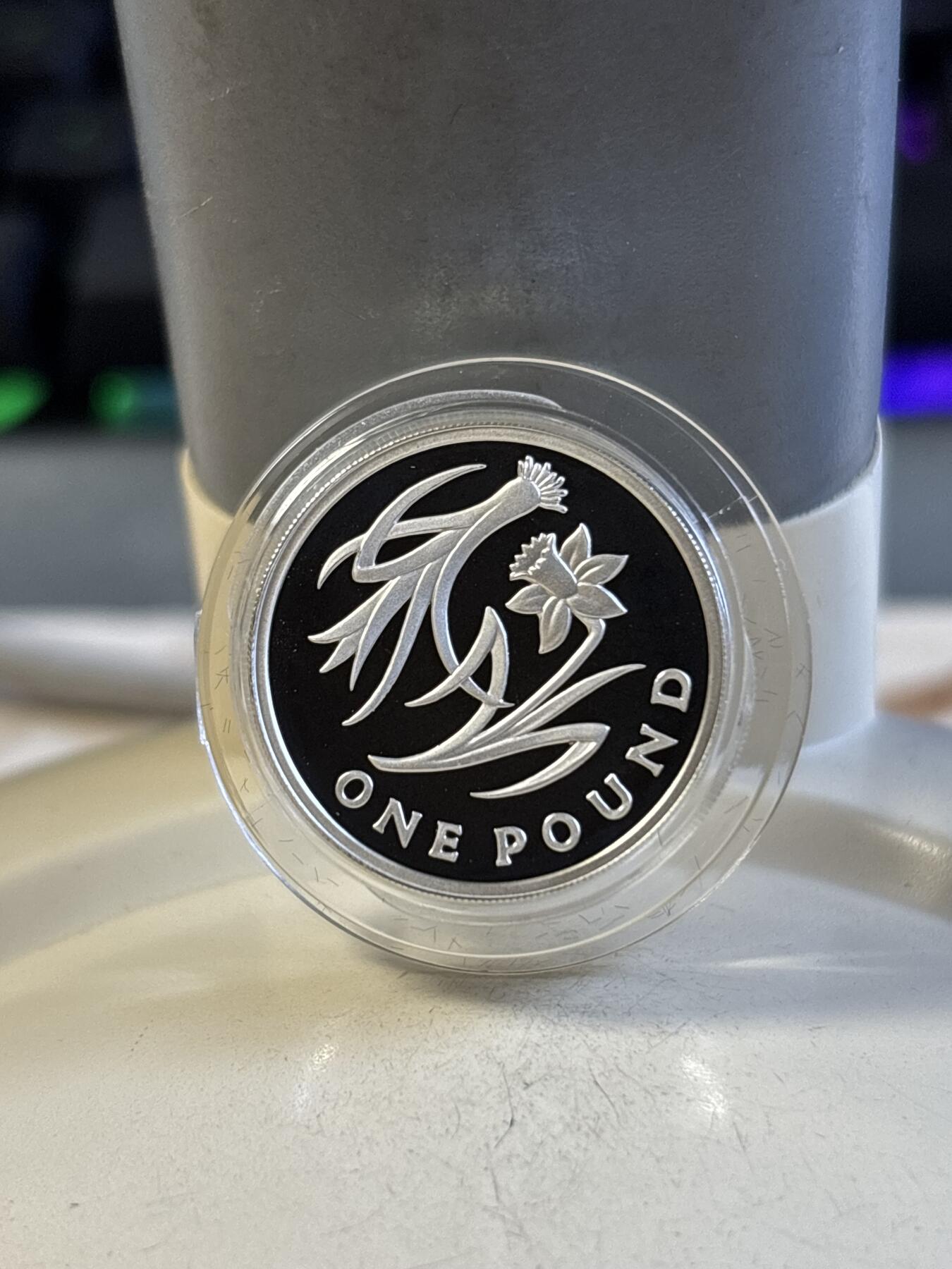 第192期拍卖 英国2013年花卉系列威尔士1镑精制加厚版纪念银币，925银，19克，发行3000枚