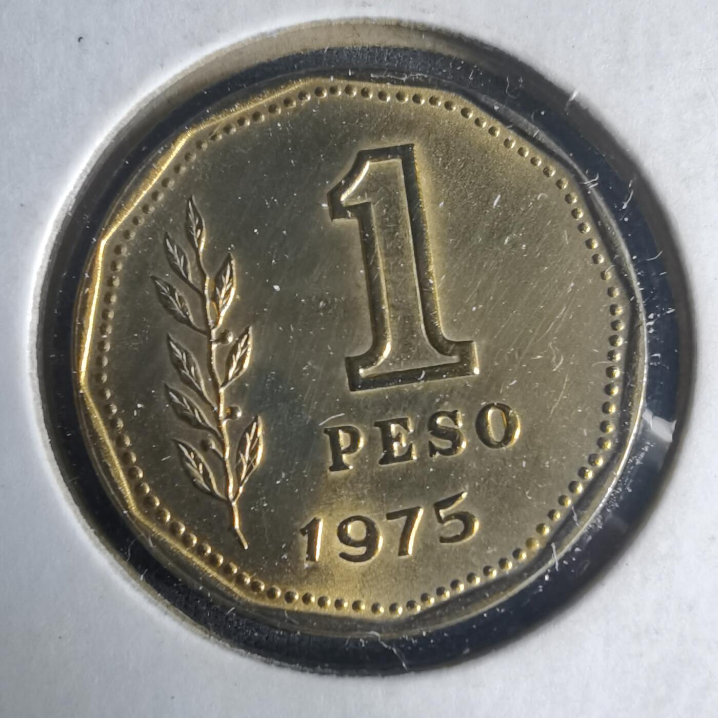 沼泽如烟--第1013场