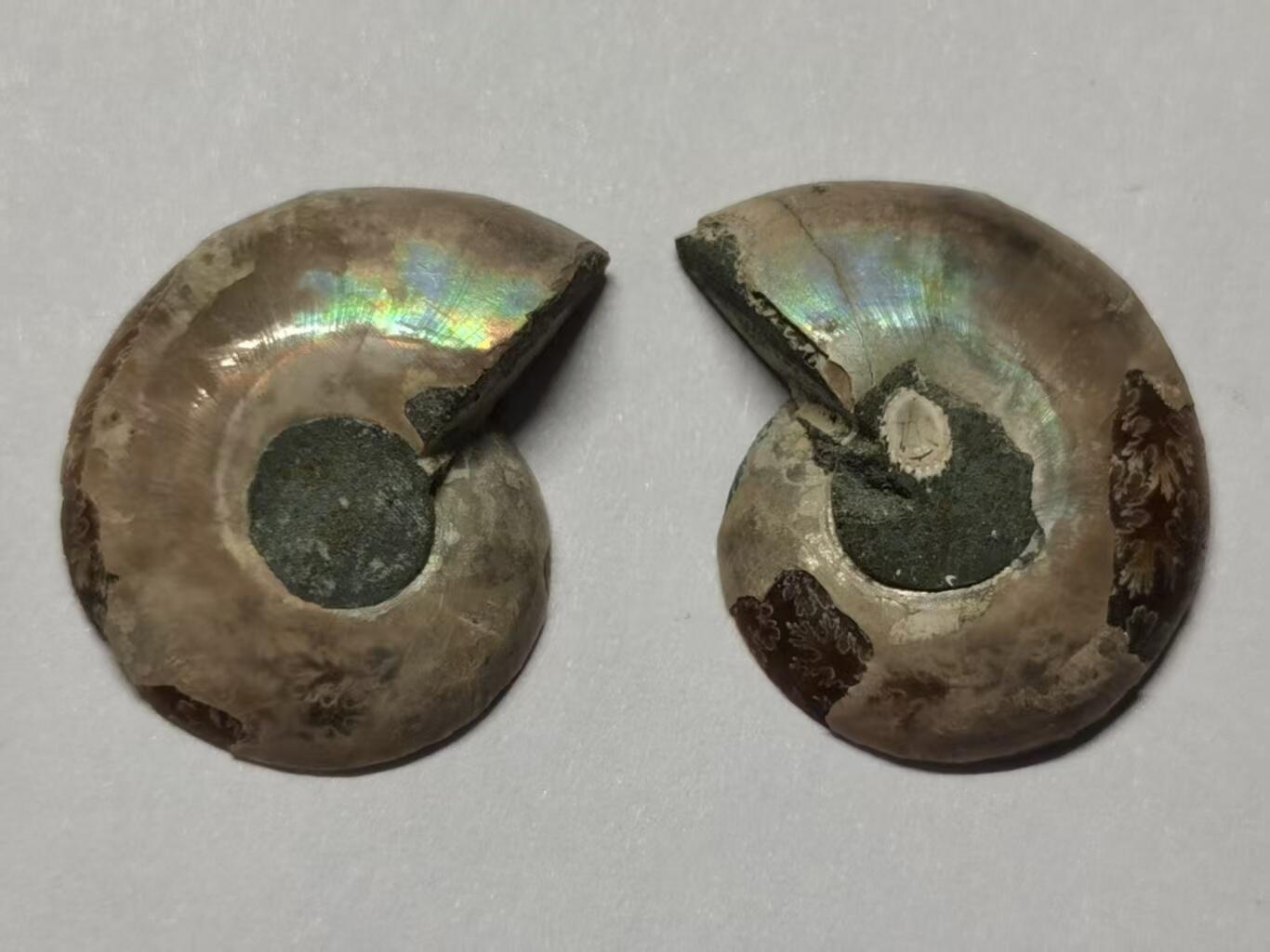 七河·世界世界币章杂件小拍（总第40期）