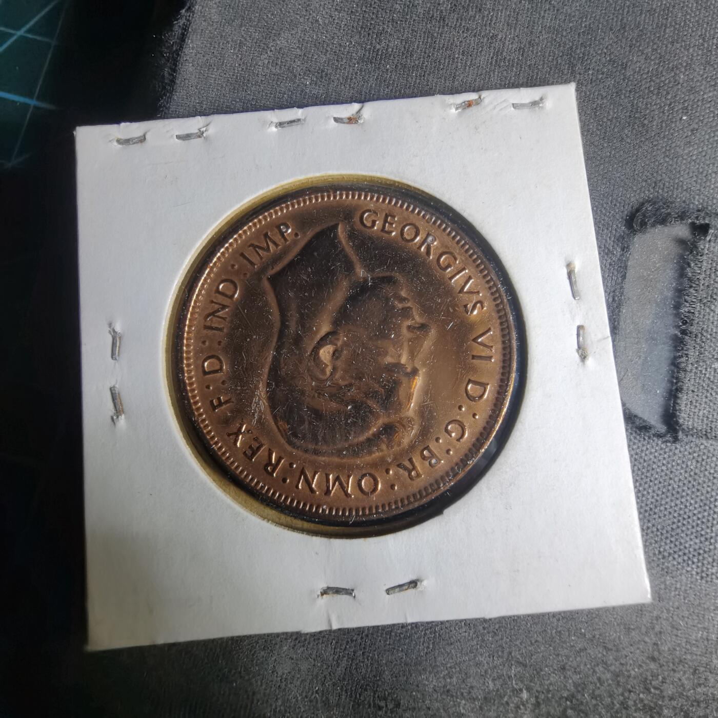 沼泽如烟--第1013场