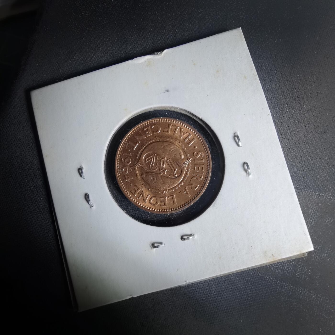 沼泽如烟--第1012场