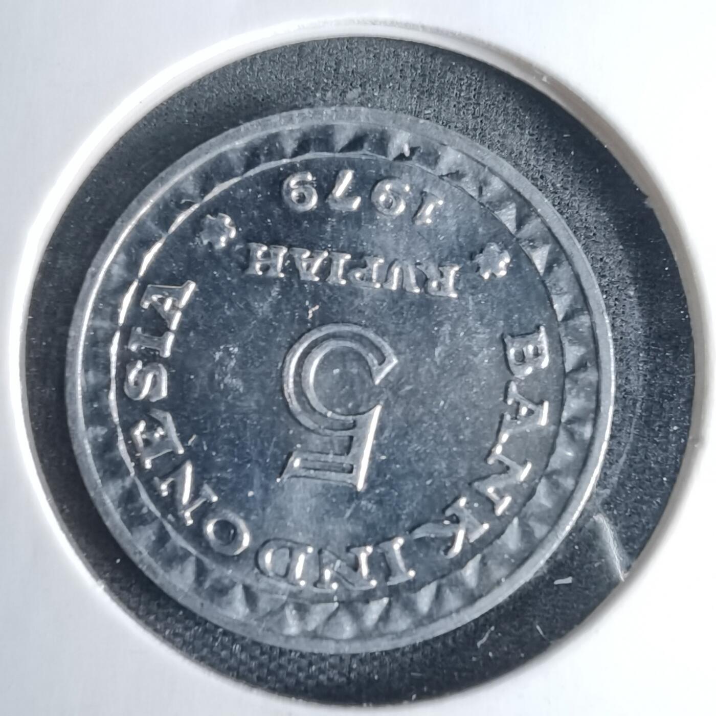 沼泽如烟--第1013场