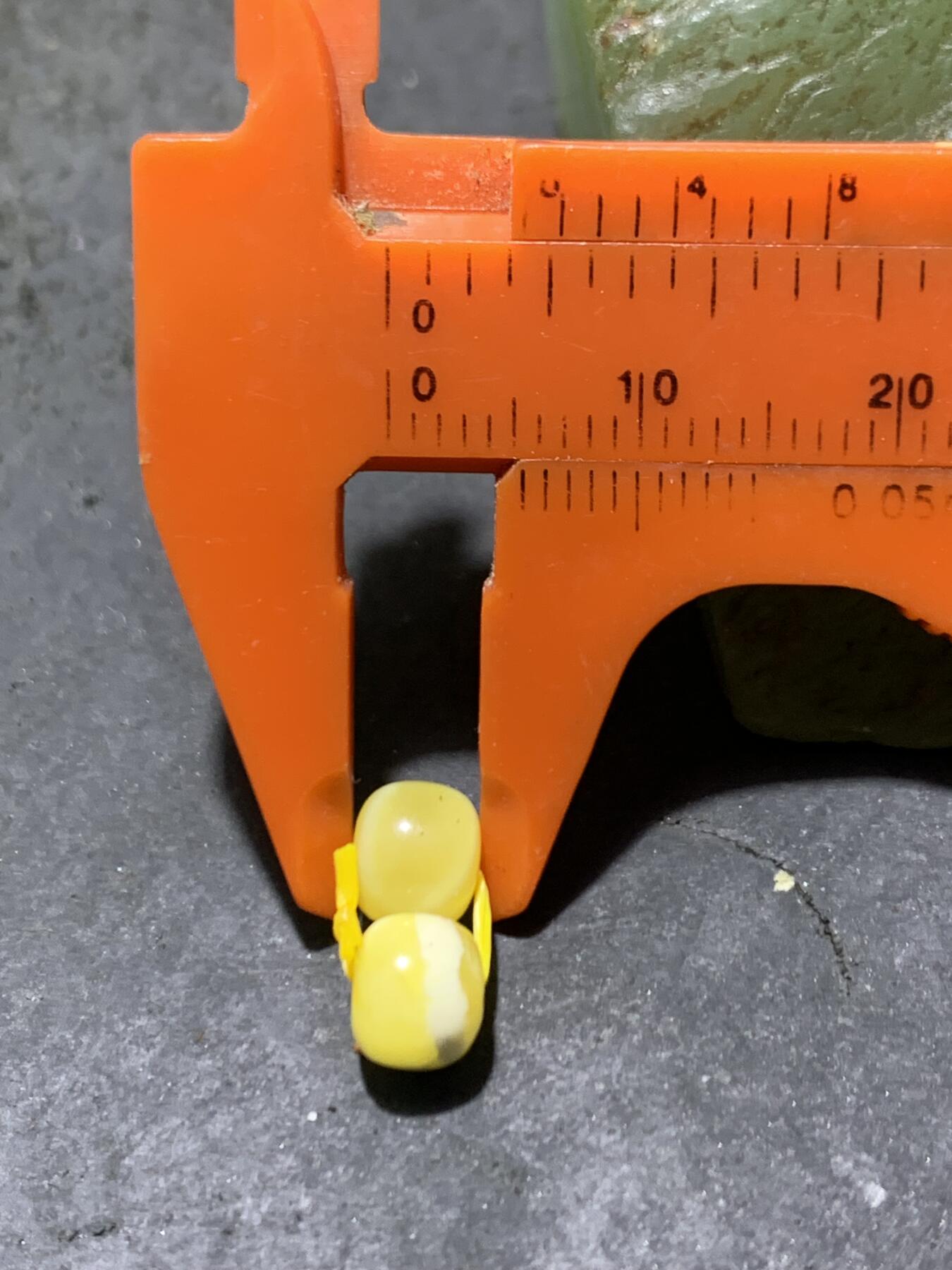 天然俄料原矿蜜蜡小尺寸老形桶珠腰珠两颗，