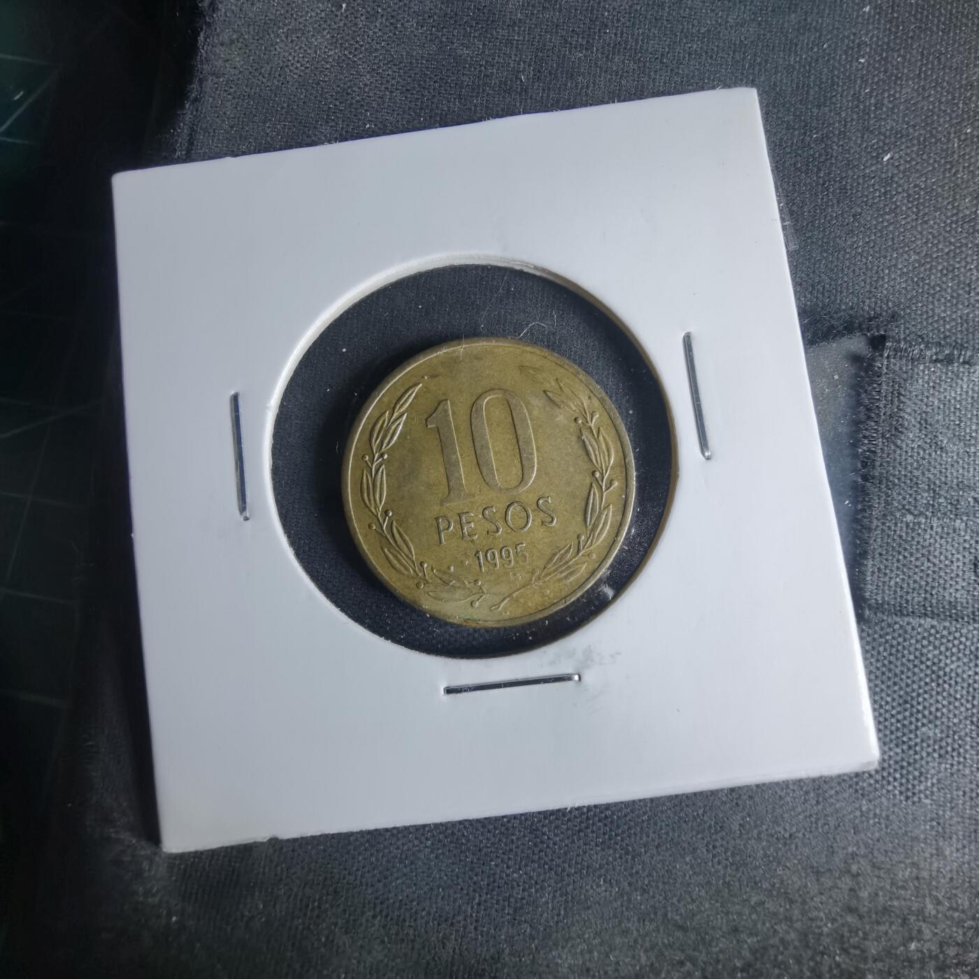 沼泽如烟--第1013场