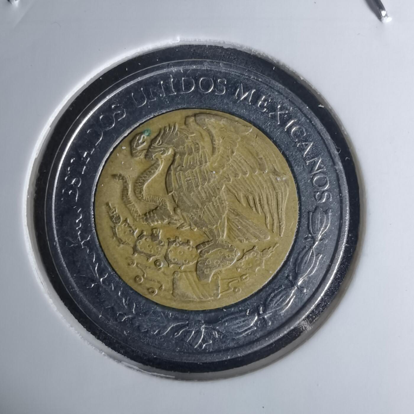 沼泽如烟--第1012场