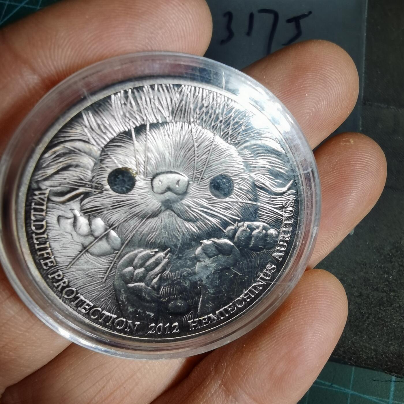 沼泽如烟--第1012场 纪念章币形章  非币