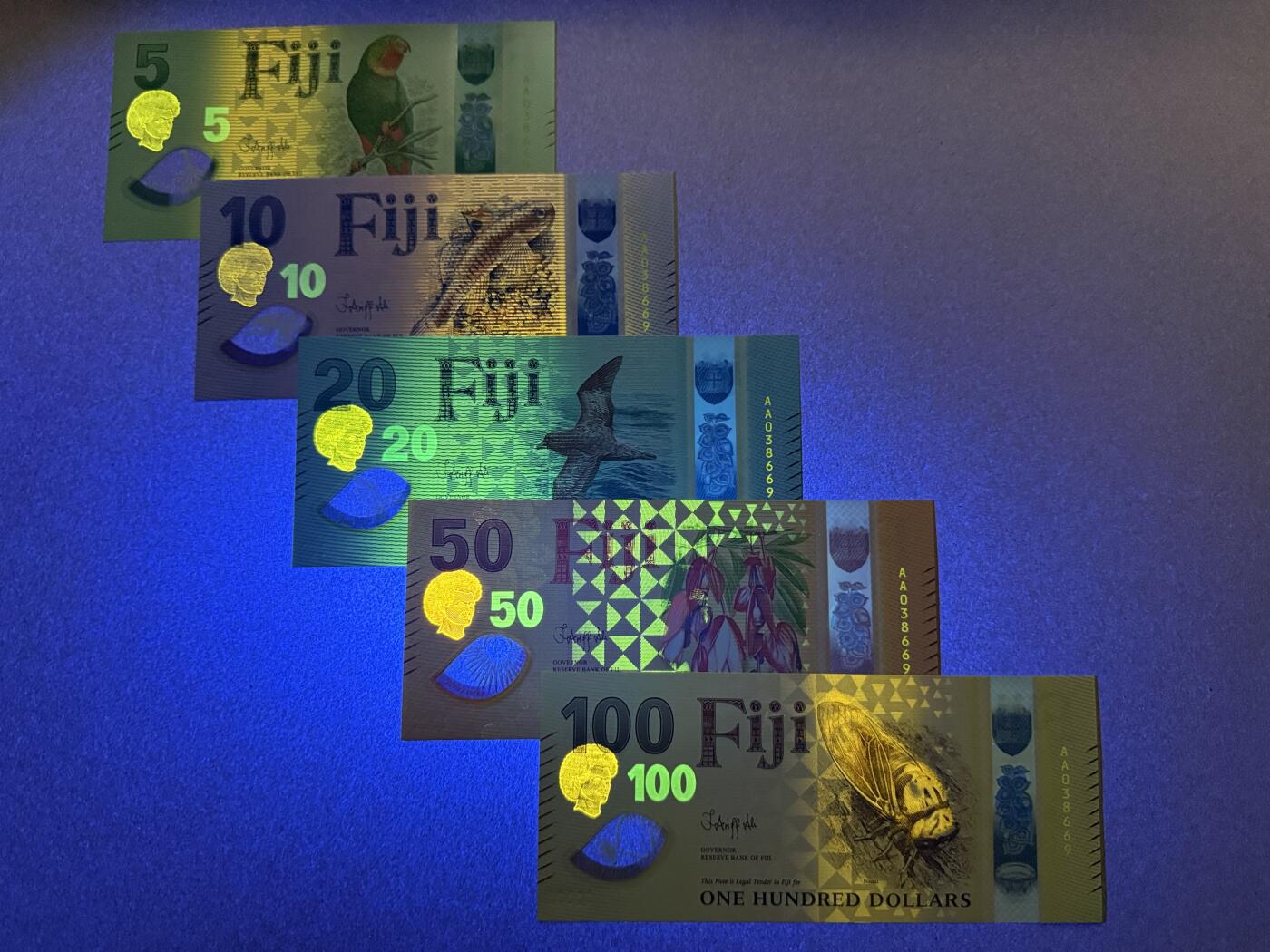 《艾美收藏》第235期-3.8周日外币荟萃