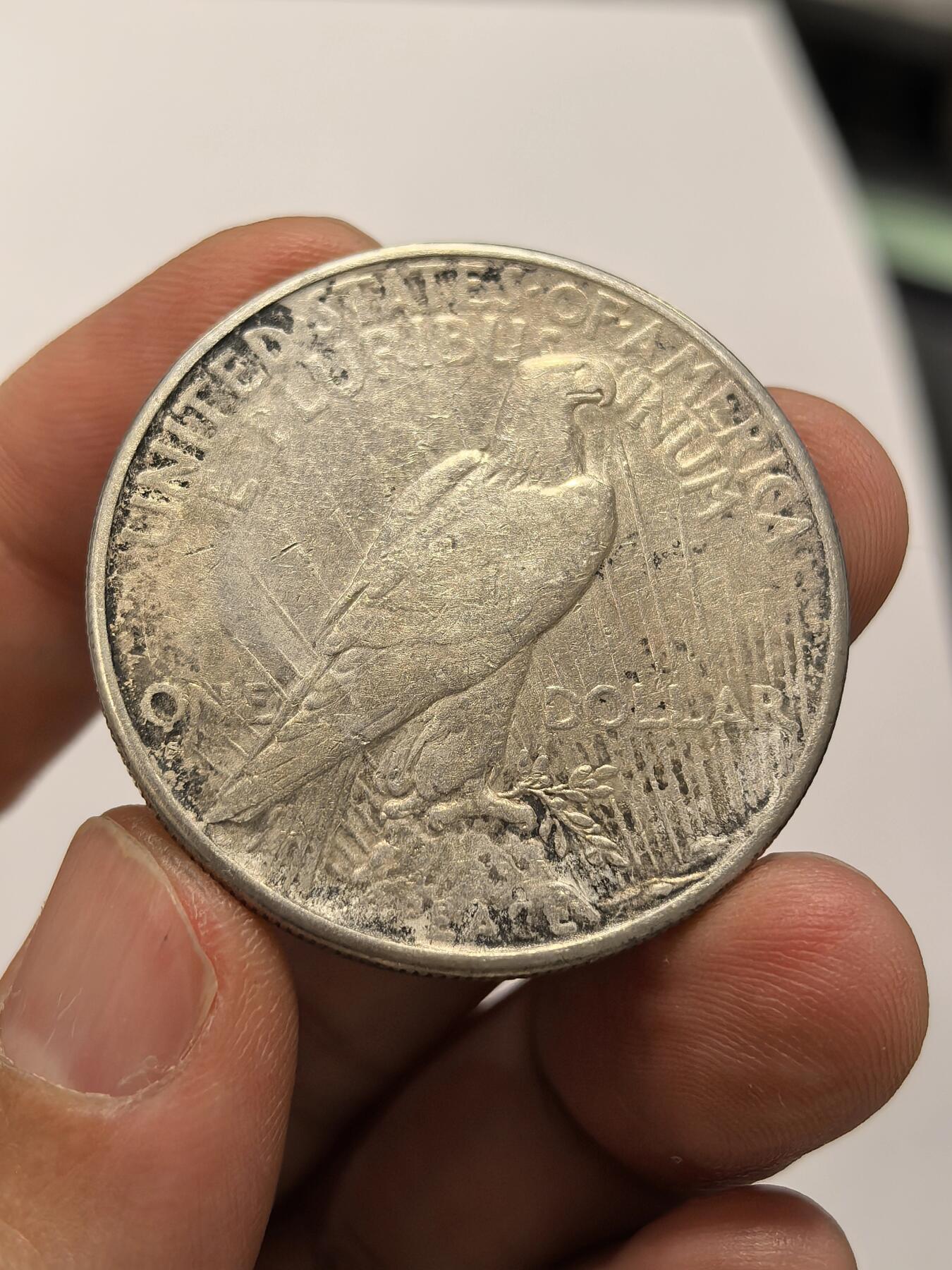 博洋堂世界钱币拍卖第163期（全场包邮） 美国1926年和平银币