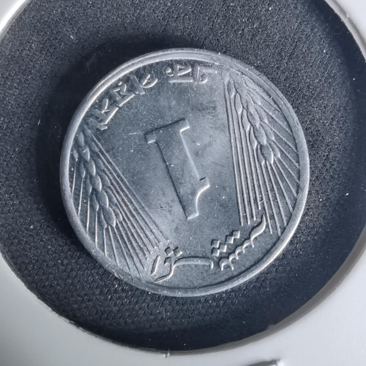 沼泽如烟--第1015场 巴基斯坦1971年1派沙