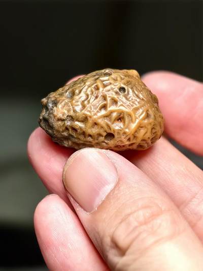 抚柳草堂-第十四期章牌钱币  奖章勋章限时免佣 满百包邮 放漏专场 - 筋脉石玛瑙 经脉石一块 经脉清晰独特