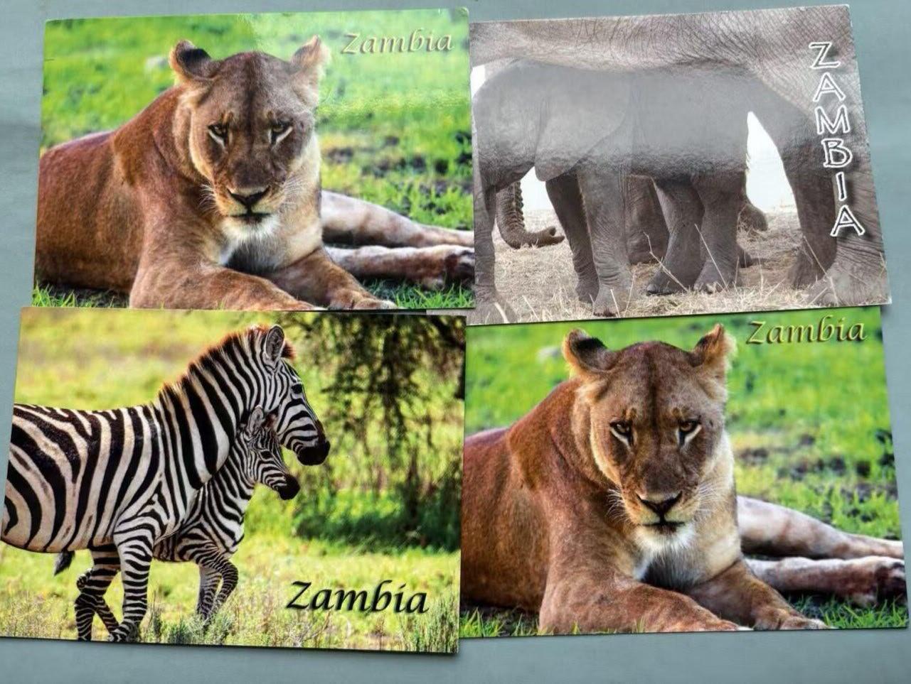 盛世勋华——号角文化勋章邮票专场拍卖第308期 赞比亚野生动物纪念明信片四张
