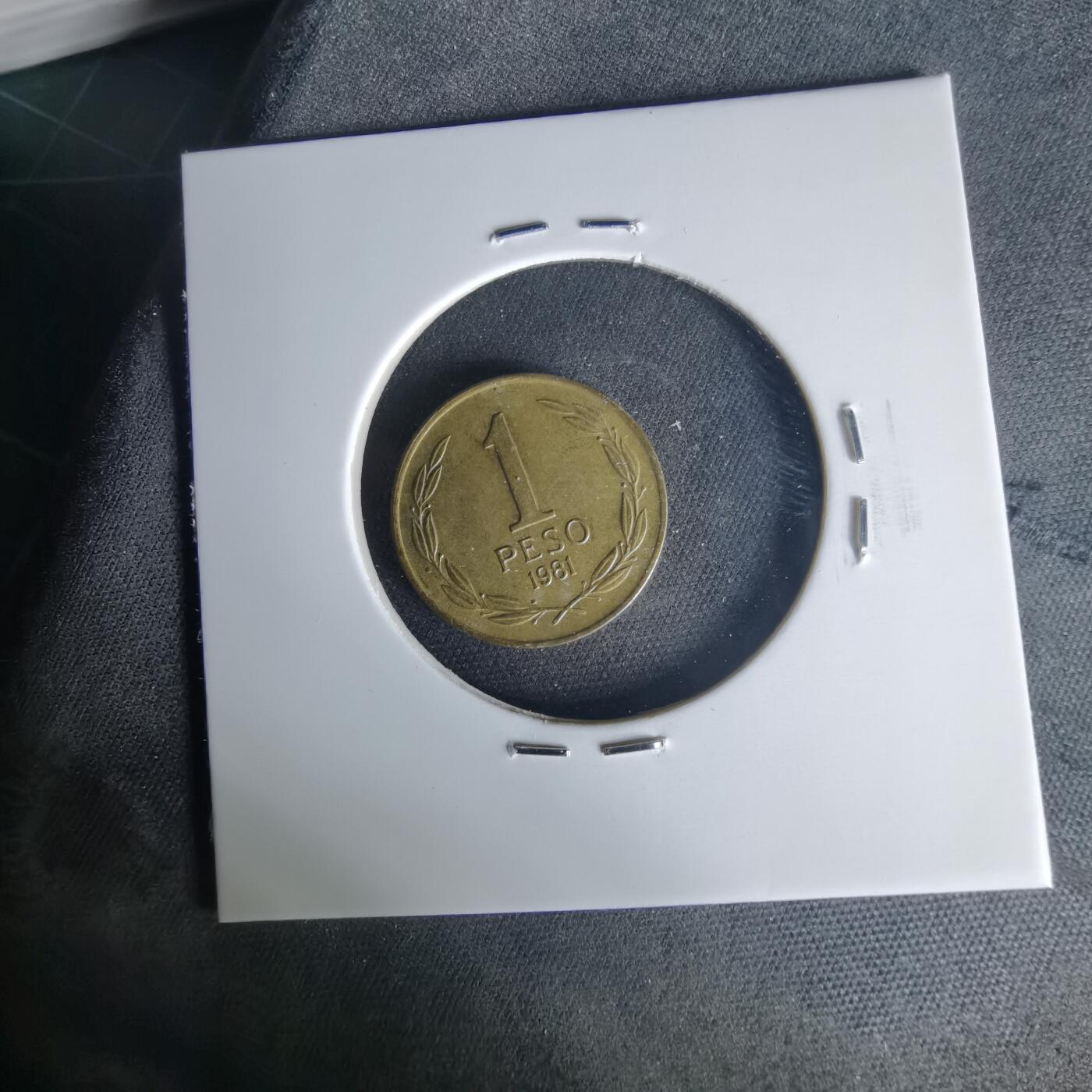 沼泽如烟--第1015场 智利1981年1比索