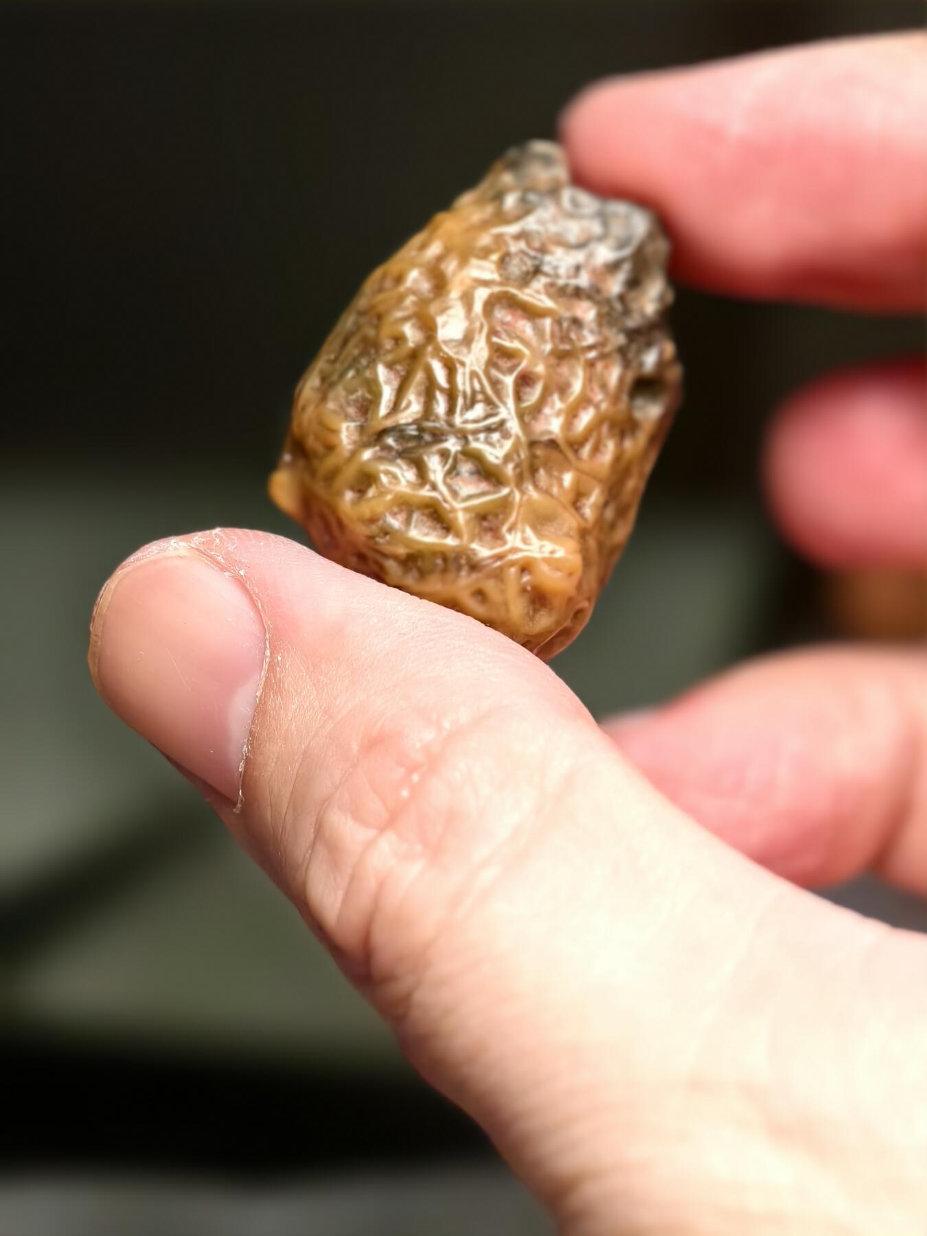 抚柳草堂-第十四期章牌钱币  奖章勋章限时免佣 满百包邮 放漏专场 筋脉石玛瑙 经脉石一块 经脉清晰独特