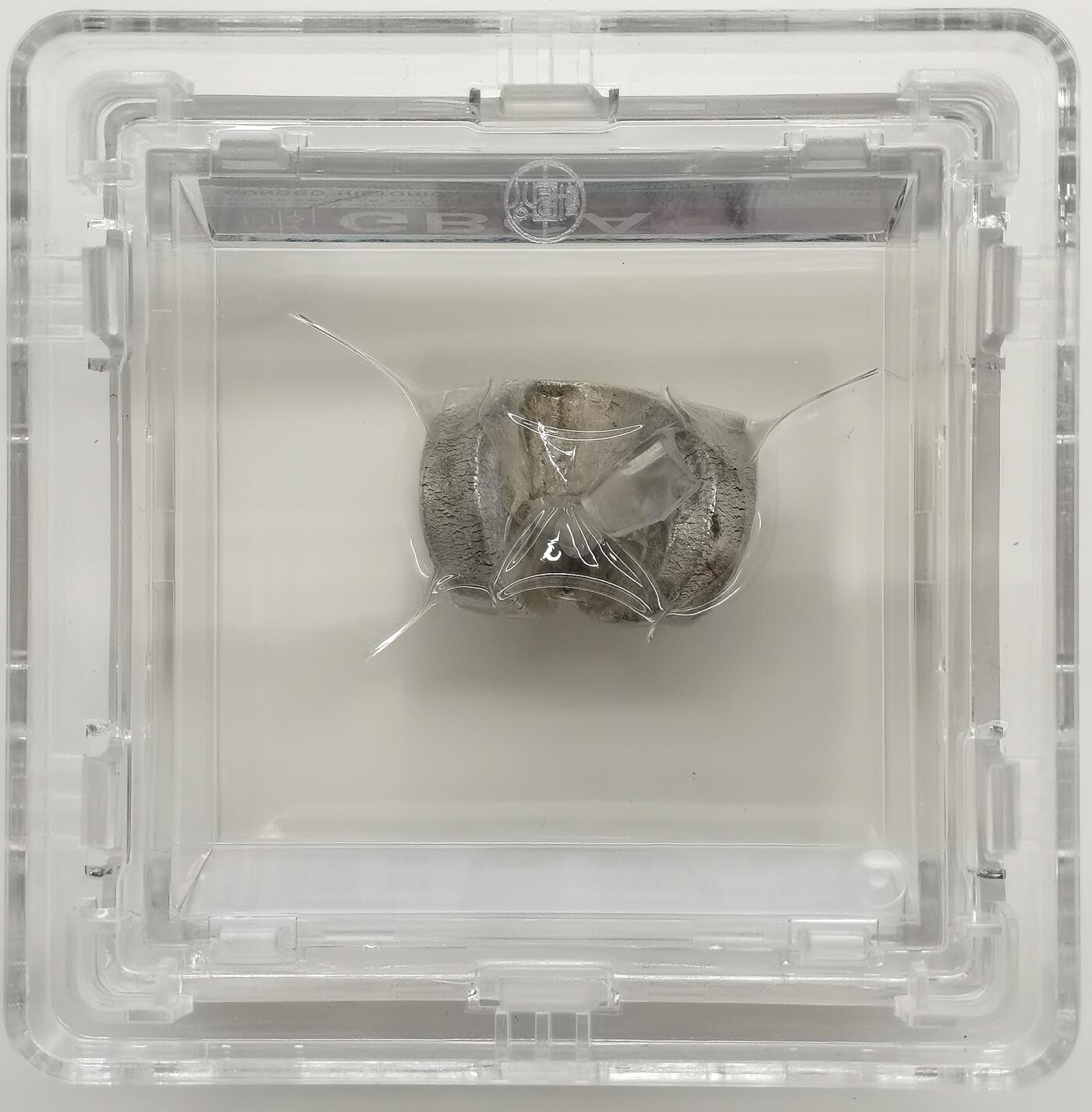 博洋堂世界钱币拍卖第163期（全场包邮）