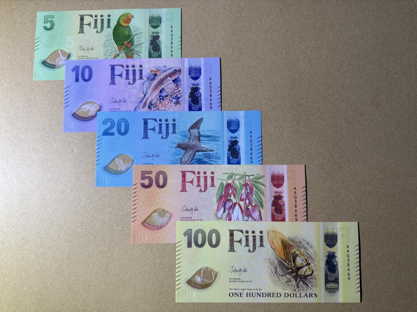 《艾美收藏》第235期-3.8周日外币荟萃