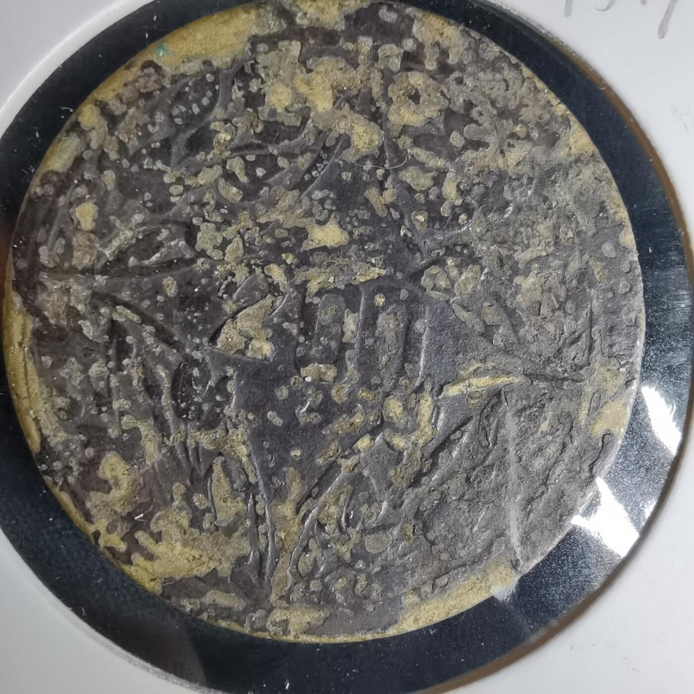 沼泽如烟--第1015场 200文铜板