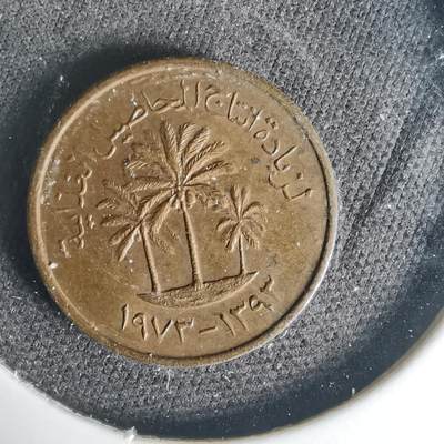 沼泽如烟--第1015场 - 阿联酋