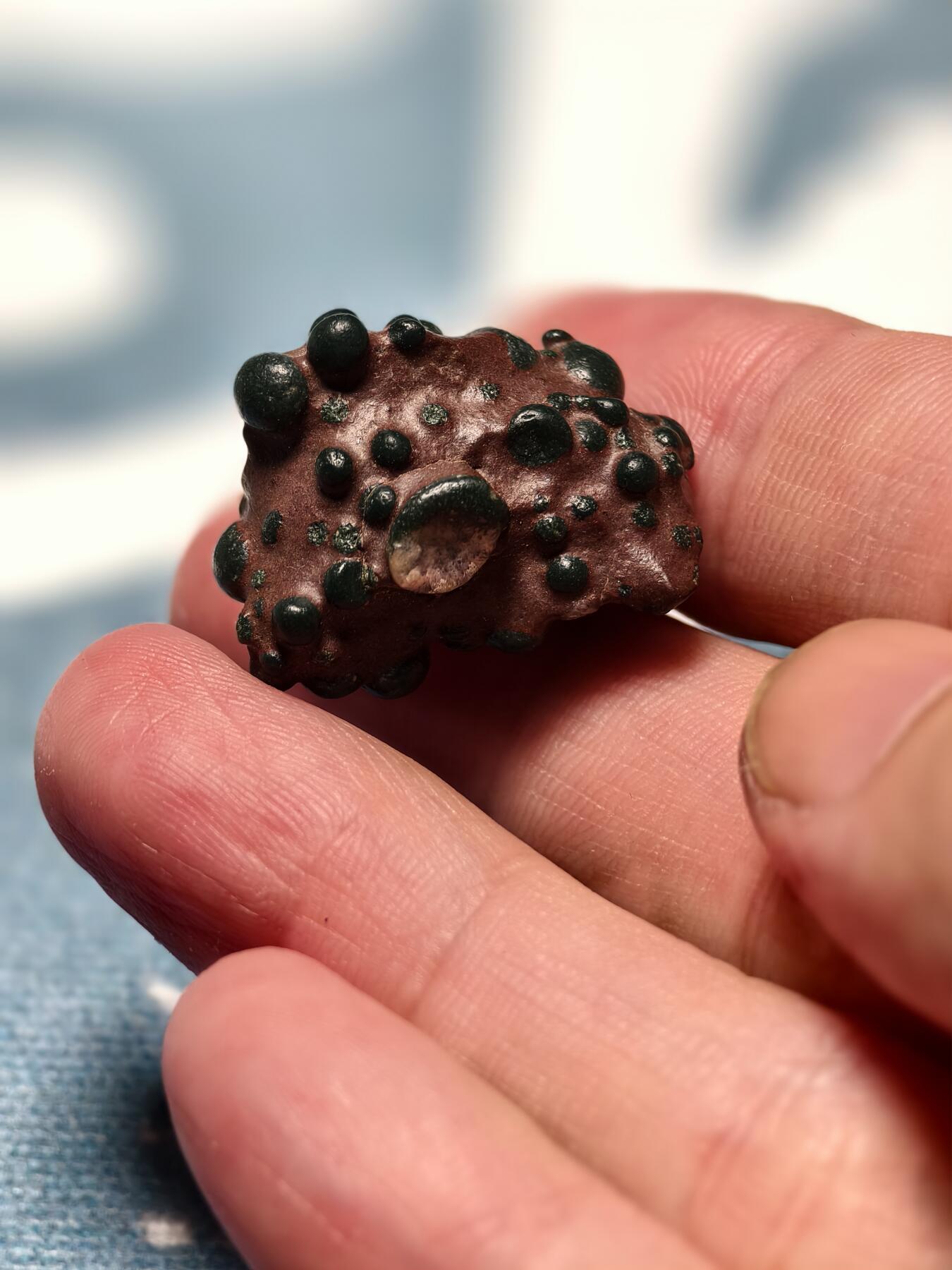 抚柳草堂-第十四期章牌钱币  奖章勋章限时免佣 满百包邮 放漏专场