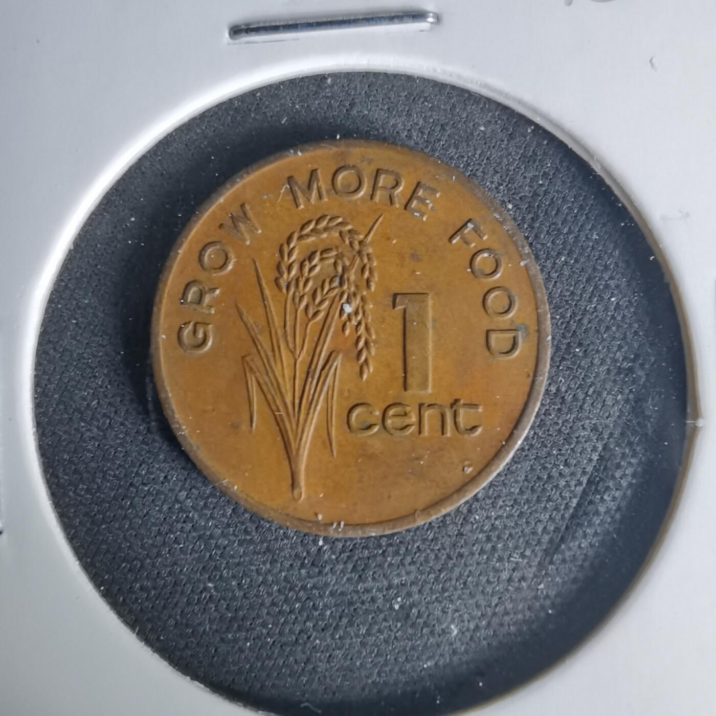 沼泽如烟--第1015场 斐济1982年一分