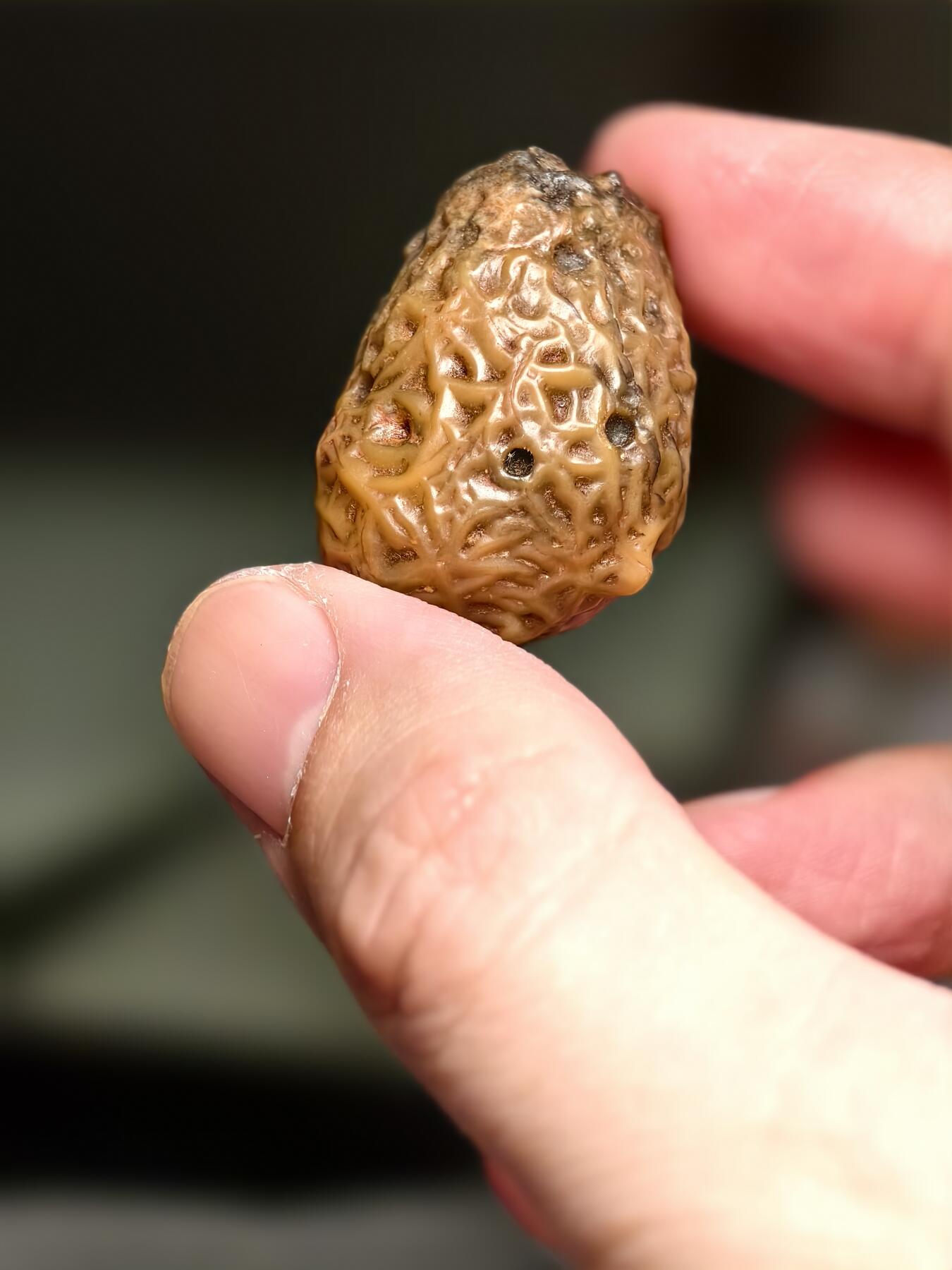 抚柳草堂-第十四期章牌钱币  奖章勋章限时免佣 满百包邮 放漏专场 筋脉石玛瑙 经脉石一块 经脉清晰独特