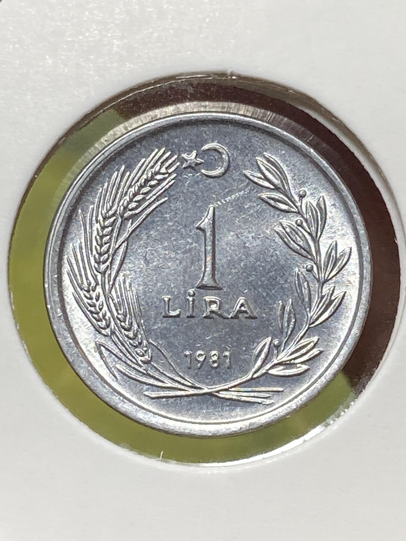 2026年第三十三场(总第二百零二场）外国精品纸夹币场(免佣金)