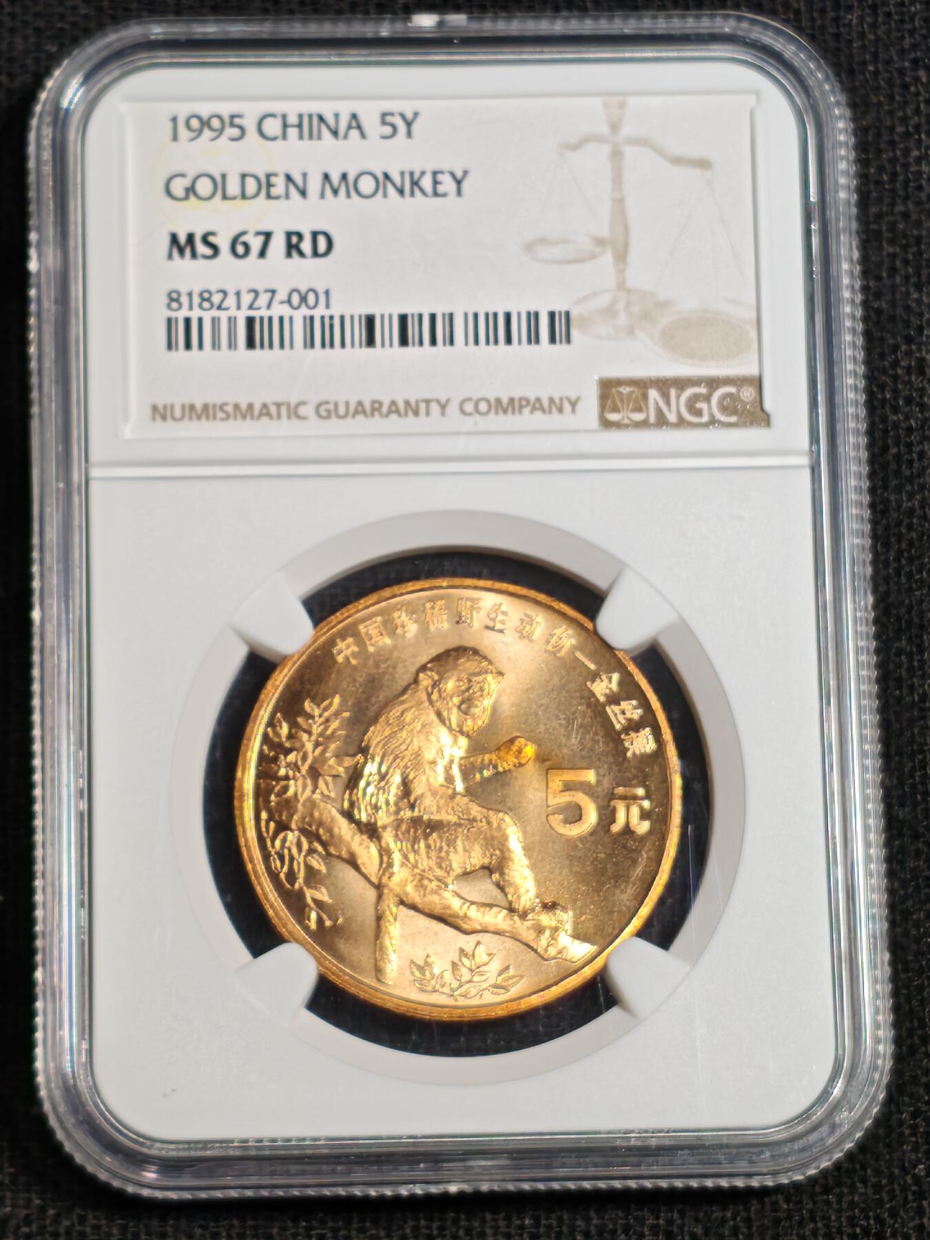 刘世昌艺术品销售中心～虎踞龙蟠*金杨在线联拍群第518期