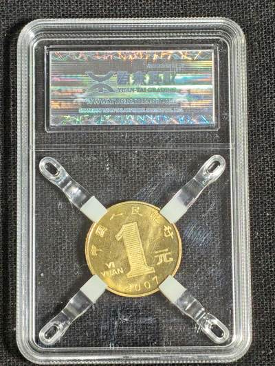 刘世昌艺术品销售中心～虎踞龙蟠*金杨在线联拍群第521期 2007年流通纪念币“丁亥猪”（源泰评级  94  串号：24267028）1枚。