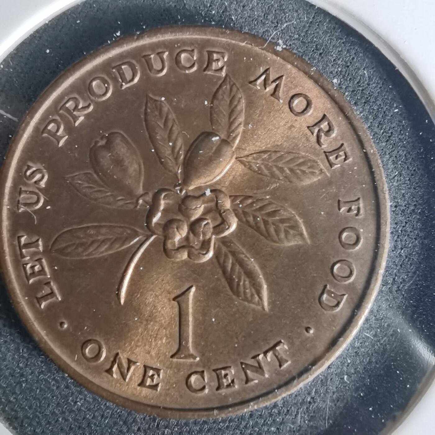 沼泽如烟--第1015场 牙买加1973年一分FAO