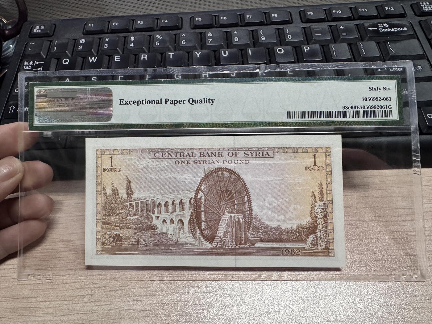 叙利亚1982年1镑（里拉）