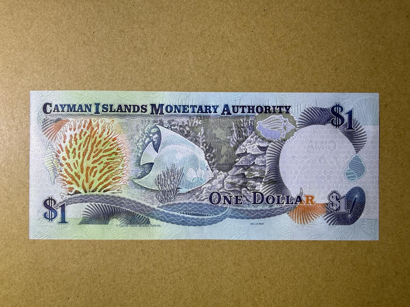 《艾美收藏》第235期-3.8周日外币荟萃