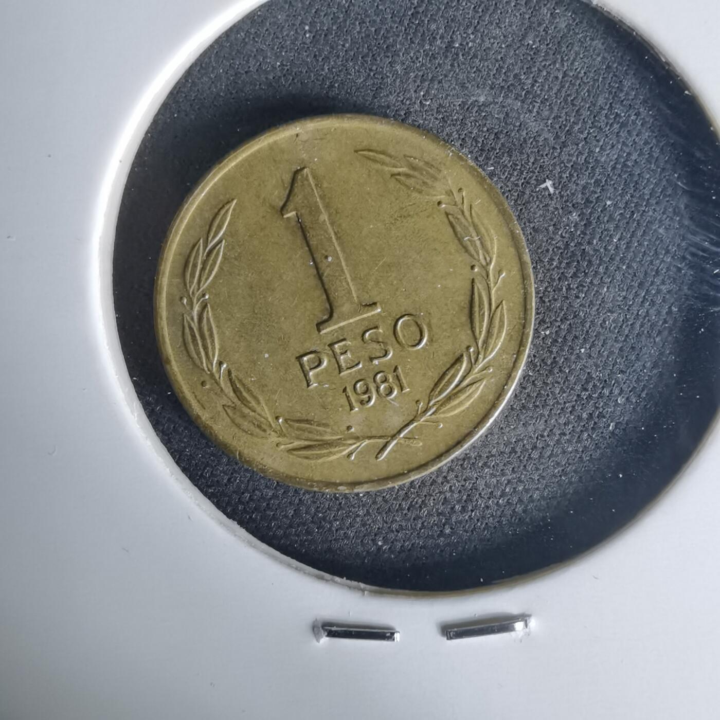 沼泽如烟--第1015场 智利1981年1比索