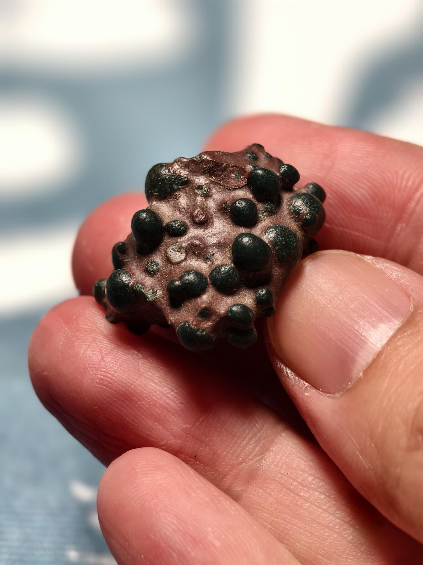 抚柳草堂-第十四期章牌钱币  奖章勋章限时免佣 满百包邮 放漏专场