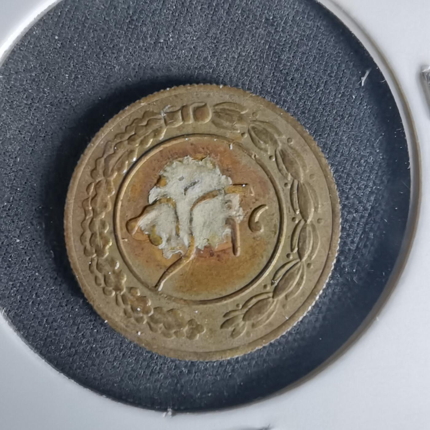 沼泽如烟--第1015场 伊朗代币