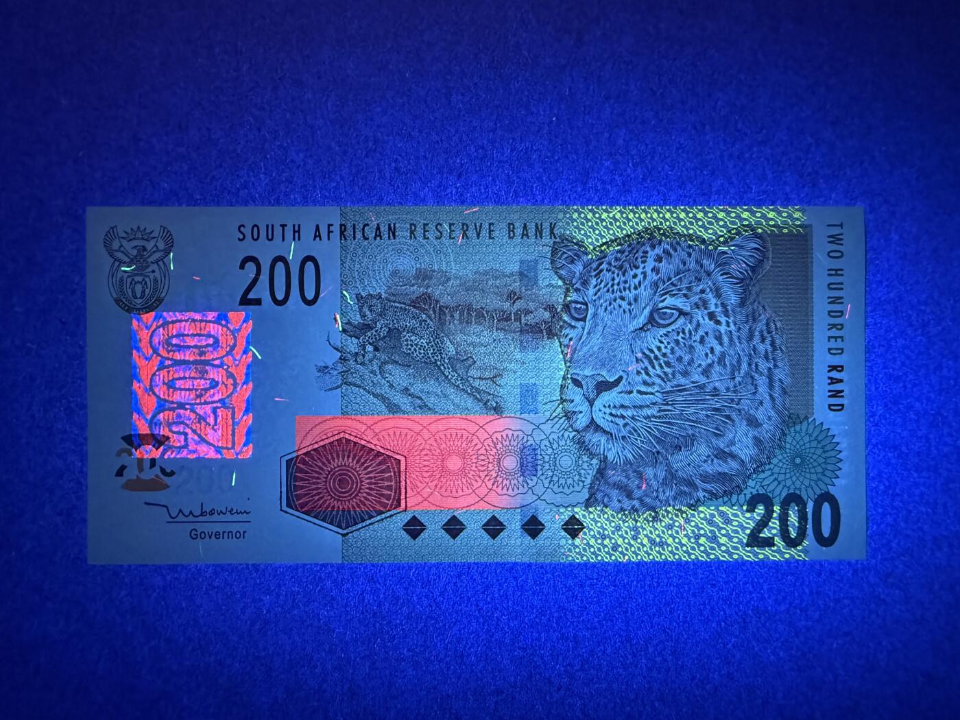 《艾美收藏》第235期-3.8周日外币荟萃 南非200兰特 UNC 2005年 豹子号