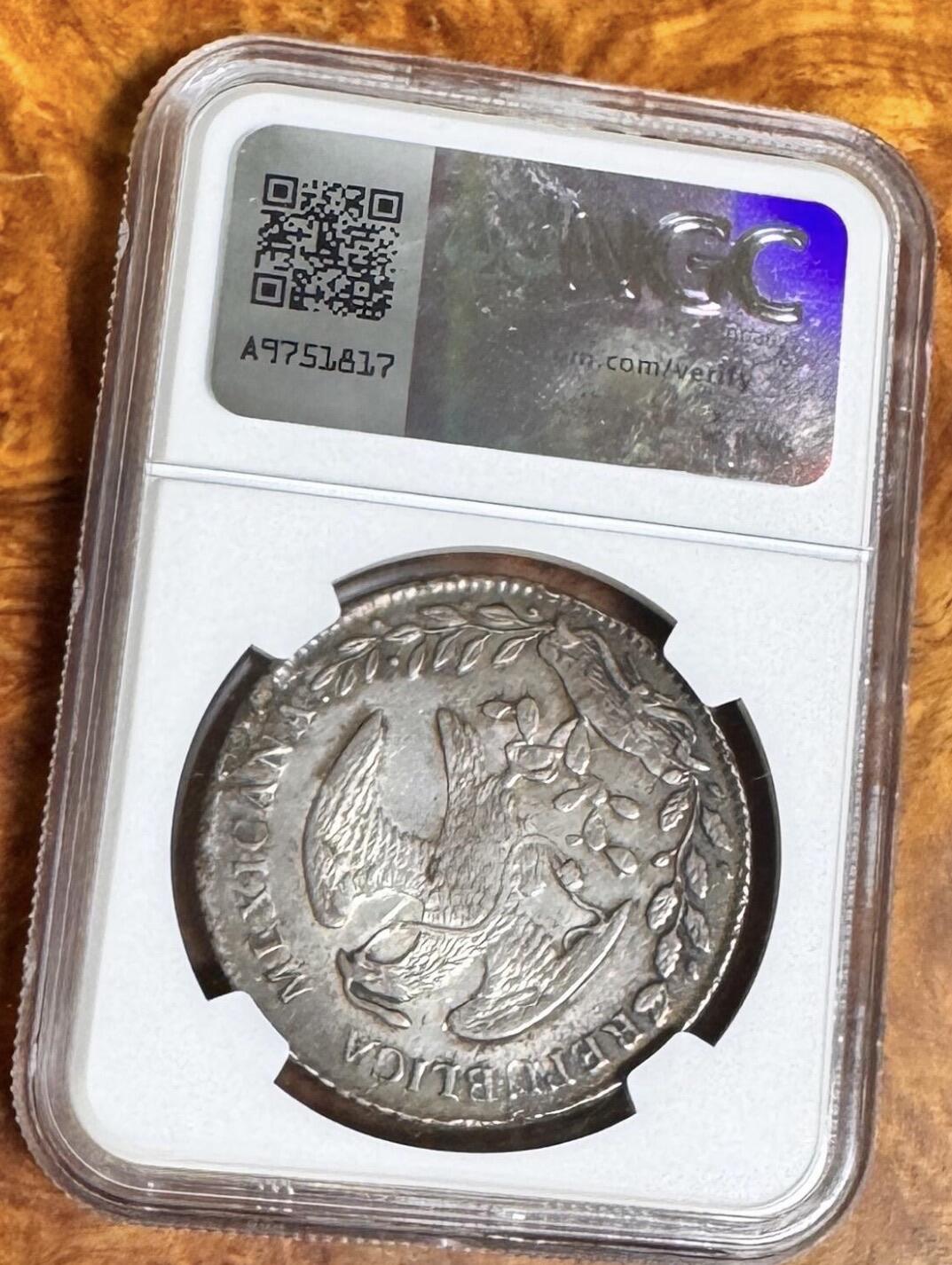 2026迎新春3月第一拍