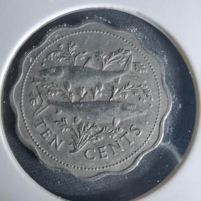 沼泽如烟--第1015场 - 巴哈马1980年十分