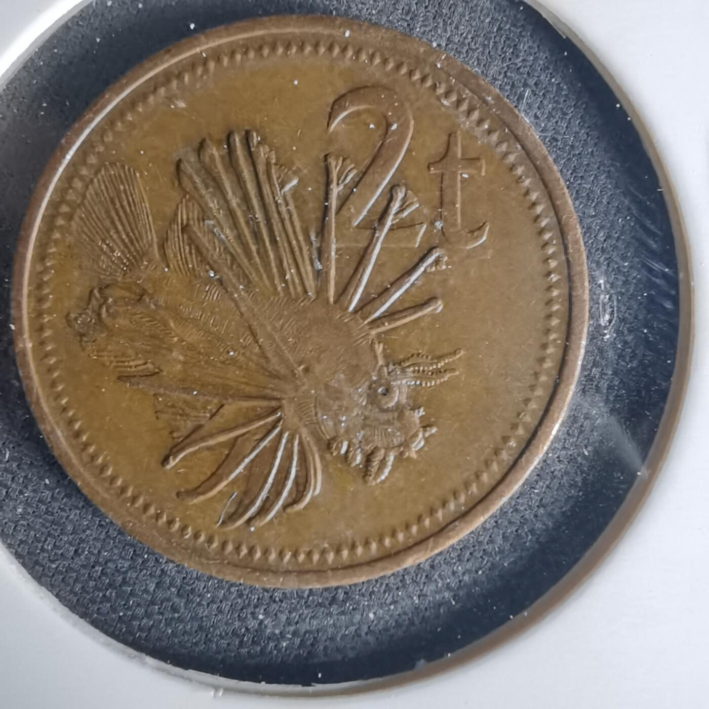 沼泽如烟--第1015场 巴布亚新几内亚1975年2托伊