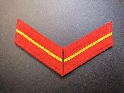 云宸嘉赏-勋臻精藏⭐️元宵节特别专拍场次🎖 - su-M55式陆学员领章