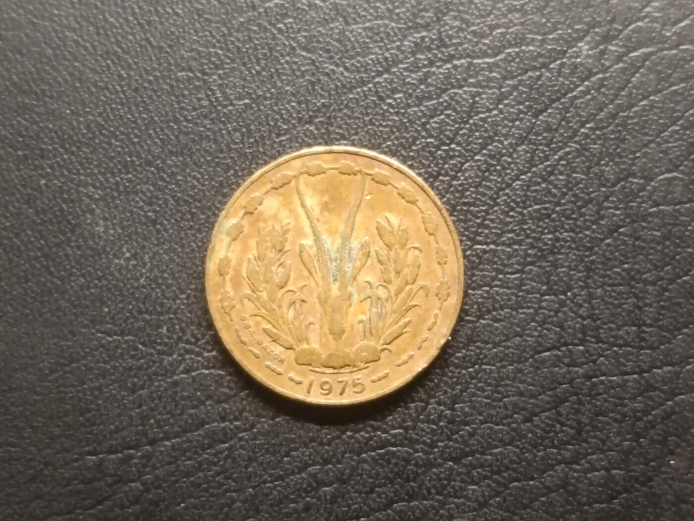 荟藏特别场次第五期——“社长的钢镚堆” 西非共同体1975年10法郎，少见品种