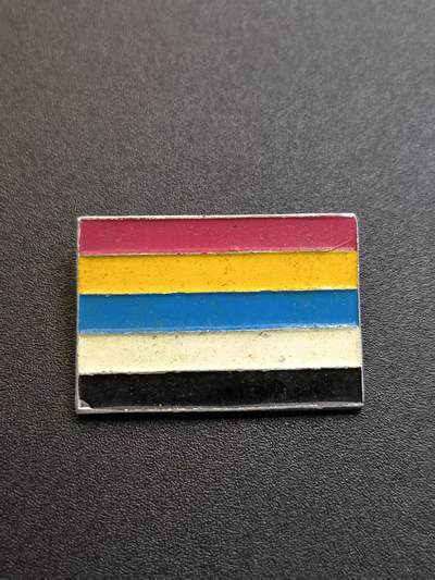 云宸嘉赏-勋臻精藏⭐️年后精品专拍场次🎖 - 幸亥革命70周年纪念章