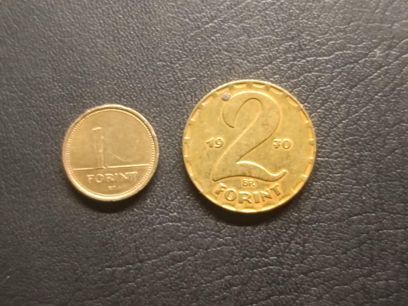 荟藏特别场次第五期——“社长的钢镚堆” 匈牙利硬币批量两枚