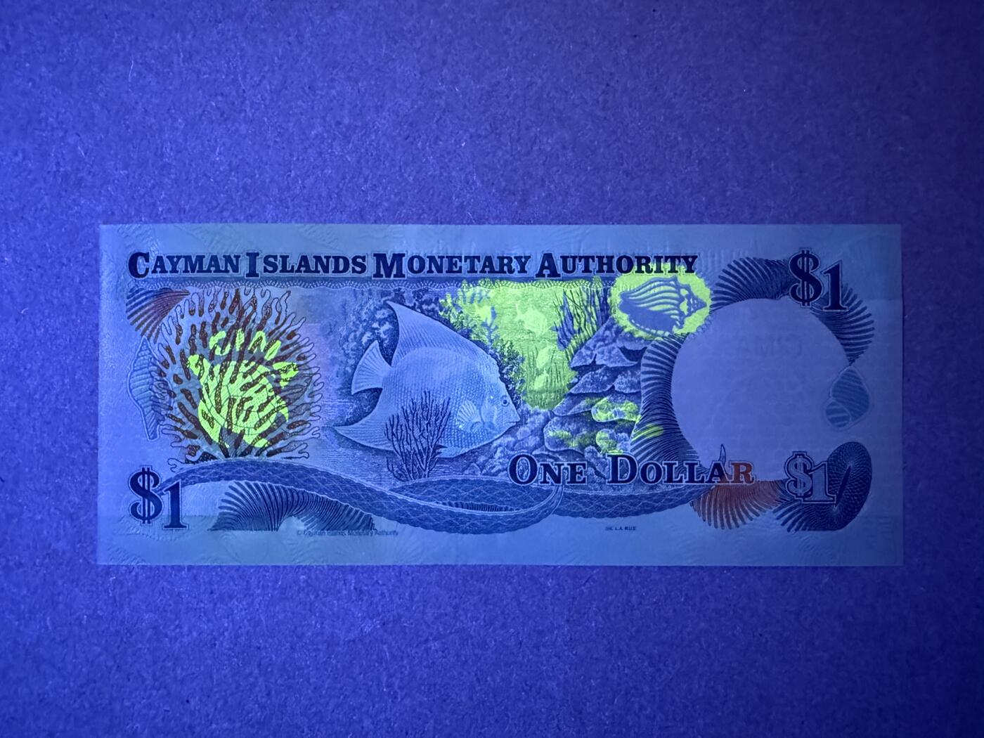 《艾美收藏》第235期-3.8周日外币荟萃