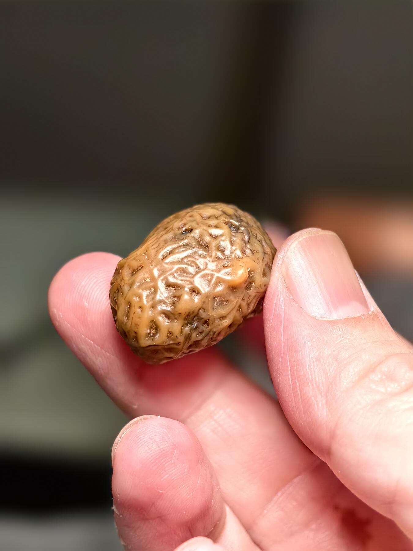 抚柳草堂-第十四期章牌钱币  奖章勋章限时免佣 满百包邮 放漏专场 筋脉石玛瑙 经脉石一块 经脉清晰独特